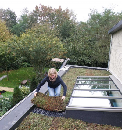 plaque pre-cultivee pour toiture vegetale