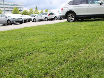 Aménagement de parking en gazon naturel 
