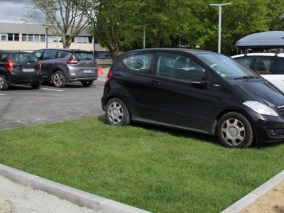 Nidagrass roosters voor grasparkings en groene parkeerplaatsen