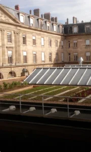 solutions pour la gestion des eaux pluviales en toiture plate