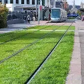 voies de tramway enherbées