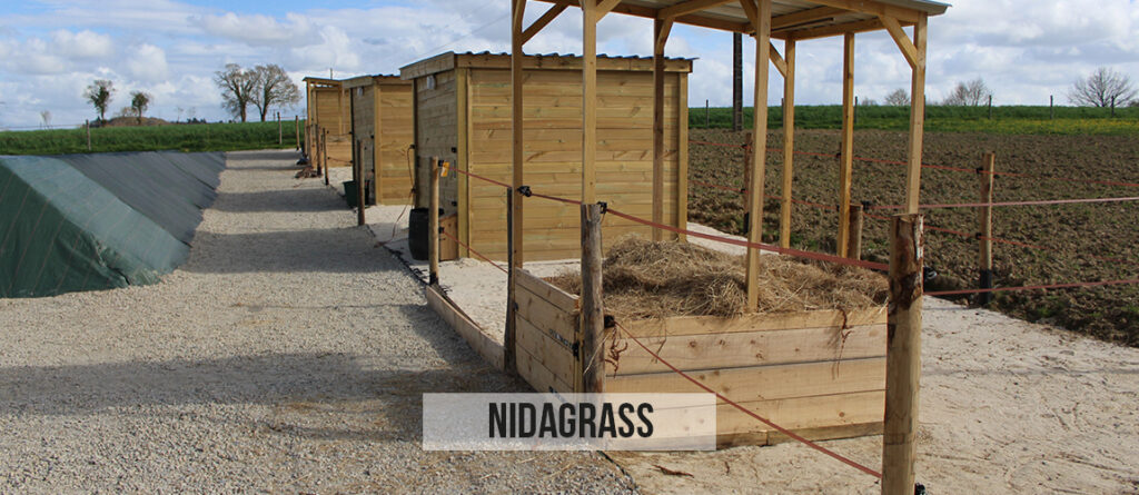 dalle pour stabiliser les entrées de boxes à chevaux