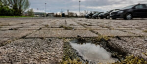Pavés drainants colmatés avec joints envahis de mousses et flaque d'eau stagnante — illustration des inconvénients de perméabilité en parking
