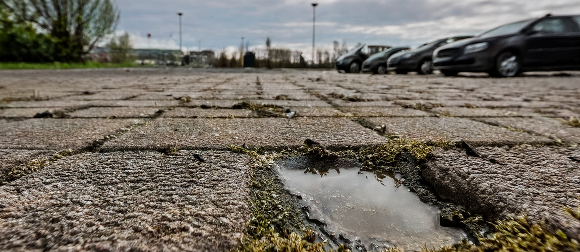 Pavés drainants colmatés avec joints envahis de mousses et flaque d'eau stagnante — illustration des inconvénients de perméabilité en parking